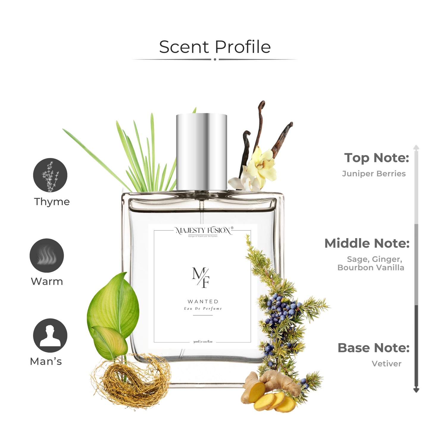 Seb@astian special Most wanted (30ml) perfume